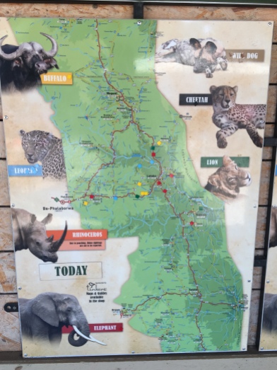 The map at each camp, showing what has been seen that day...